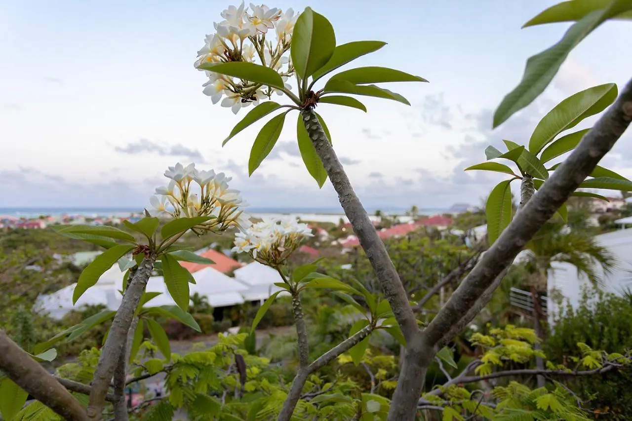Villa Tintamare, Stunning 4 Bedrooms Villa With Views! Quarter of Orleans Sint Maarten/Saint Martin